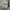 Converse Jack Purcell  photo 4