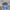 Hollister Casual Hat Pria Navy photo 4