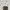 H&m hnm polka big black cream authentic photo 2