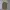 Zip Hoodie freaky camo photo 1
