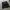 Unknown black baggy jorts  photo 1