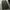 Green army cargo baggy jeans photo 1