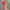 Rainbow Dress photo 3