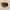Chawan Matcha Bowl Spout & Chasen Holder photo 4