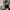 Hoodie iam not human being photo 6