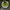 Chawan Matcha Bowl Spout & Chasen Holder photo 1