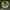 Chawan Matcha Bowl Spout & Chasen Holder