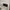  jersey england national team home euro 2024 photo 6