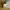 US NAVY Official Uniform MFG FOR NEX Ereighton  Made In US photo 3