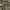 BROWNY STANDARD JP. Camouflage Army Jacket photo 6
