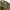 BROWNY STANDARD JP. Camouflage Army Jacket photo 3