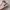 Nike Air Jordan 1 Low Pink White Swoosh Black photo 2