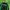 TRACKTOP KAPPA  photo 3