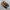 Gh Bass Wayferer Black Loafers Not Haruta Pedro Cole Haan