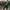 2000s Vtg Russell Athletic Faded Forest Green Blank Boxy Hoo photo 7