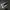 Converse Chuck Taylor All Star Ox Unisex Sneakers - Black photo 1