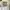 Nascar Tyler Reddick JR MotorSpot photo 1