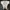 CONVERSE ALL STAR CTAS LIFT HI 572955C photo 4