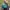Shoulder Bag COACH photo 1