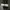 CONVERSE Chuck Taylor All Star Lift photo 2