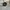 Vintage Planet Hollywood New York hat photo 1