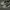 Vans Authentic Grey Gum - Grey gum photo 2