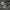Vans Authentic Grey Gum - Grey Gum