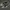 Vans Authentic Grey Gum - Grey gum photo 1