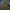 Vans Authentic Grey Gum - Grey gum photo 7