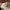 Vans slip on Checkerboard red flame original  photo 3