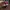 Vans slip on Checkerboard red flame original  photo 4