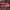 Vans slip on Checkerboard red flame original  photo 1