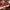 Vans slip on Checkerboard red flame original  photo 5