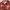 Avirex Grunge Goth Casual shirt Pria burgundy white red brown black photo 5