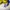 Polo Ralph Lauren Vintage Polo shirt Pria white navy blue yellow photo 8