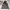 Jacket Outdor BXBK By First Down