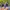 Hoka Challenger ART 7 photo 5