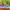 Hoka Challenger ART 7 photo 1