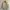 Renoma Paris Woll Work Jacket  photo 1