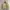 Renoma Paris Woll Work Jacket 