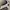 Nina Ricci Vintage Scarf Pria white photo 4