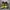 Nike Air Jordan Why Not Zer02 'Flash Crimson' photo 3