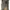 Asoka Esther top 2136 photo 2