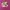 New Balance Freshfoam x 1080v13 photo 1
