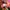 New Balance Freshfoam x 1080v13 photo 6