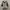 blouse/tunik abu-abu photo 1