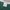 Champion Vintage Streetwear T-shirt Pria green photo 5
