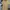 Vintage dress photo 1