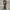 Sintetis belt kilat line NWHC8L 16 BK2 photo 1