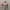 Turtleneck Pink Vintage